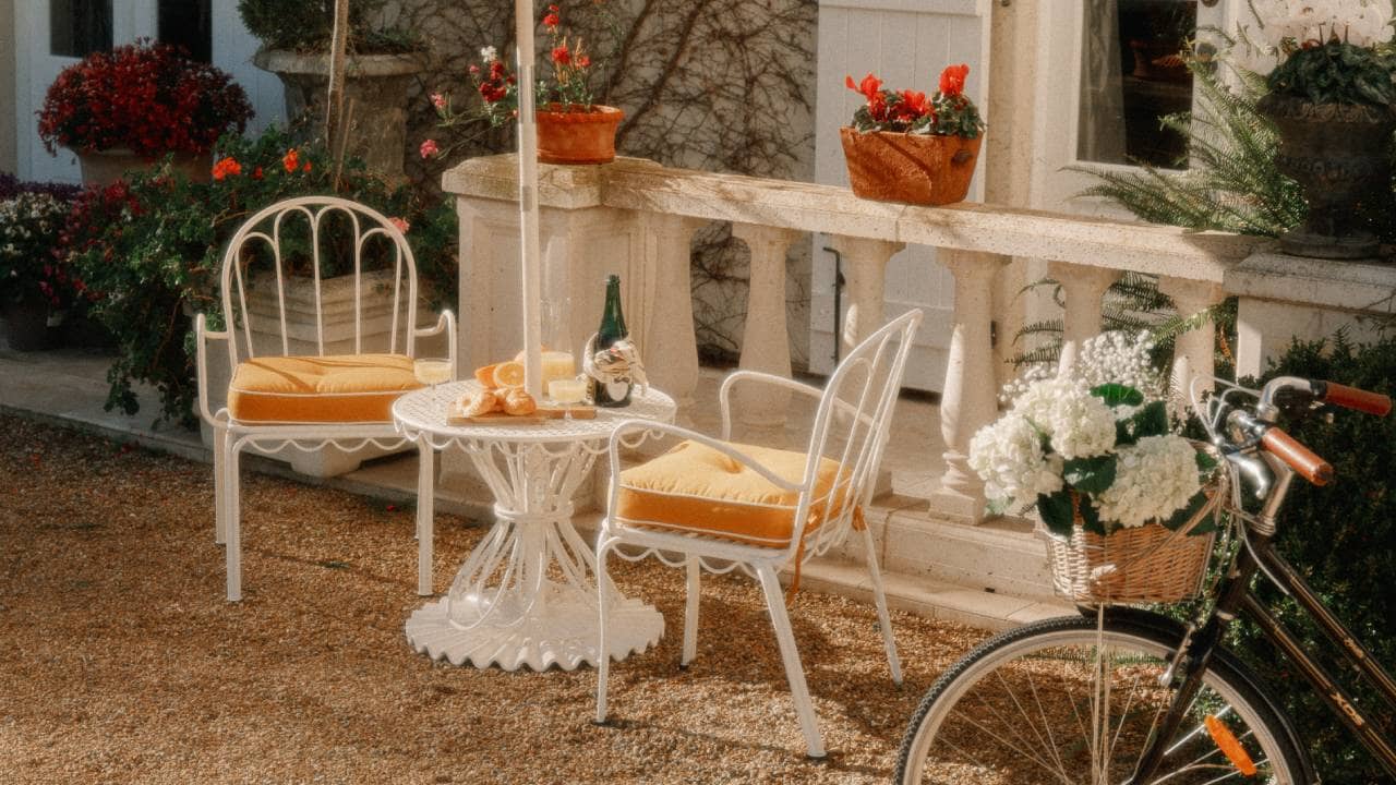 Image for Morning Mimosa