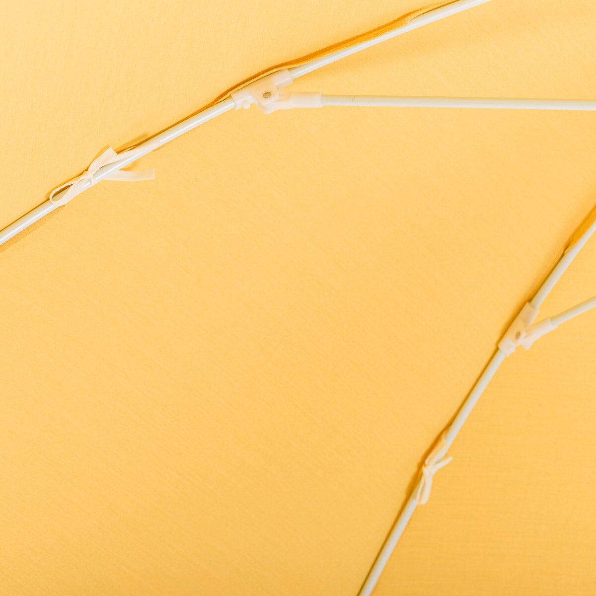 The Club Umbrella - Rivie Mimosa Beach Club Umbrella Business & Pleasure Co Aus