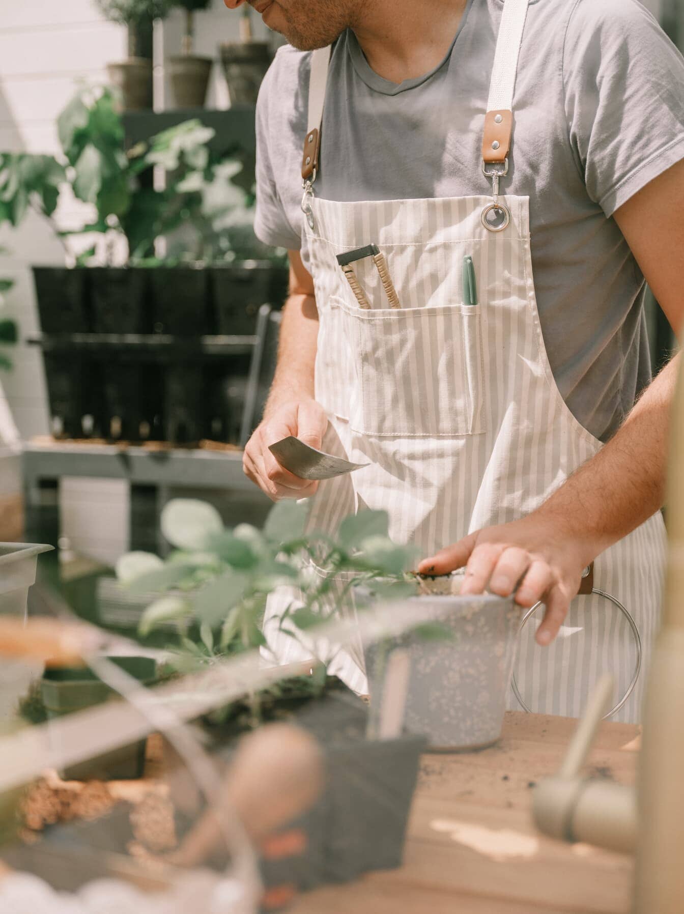 Gardener in potting shed wearing sage apron