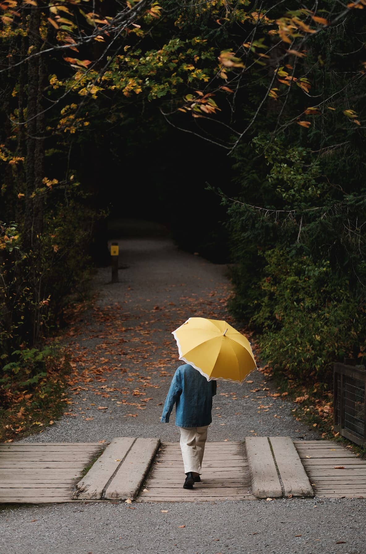 Rivie mimosa rain umbrella in the woods
