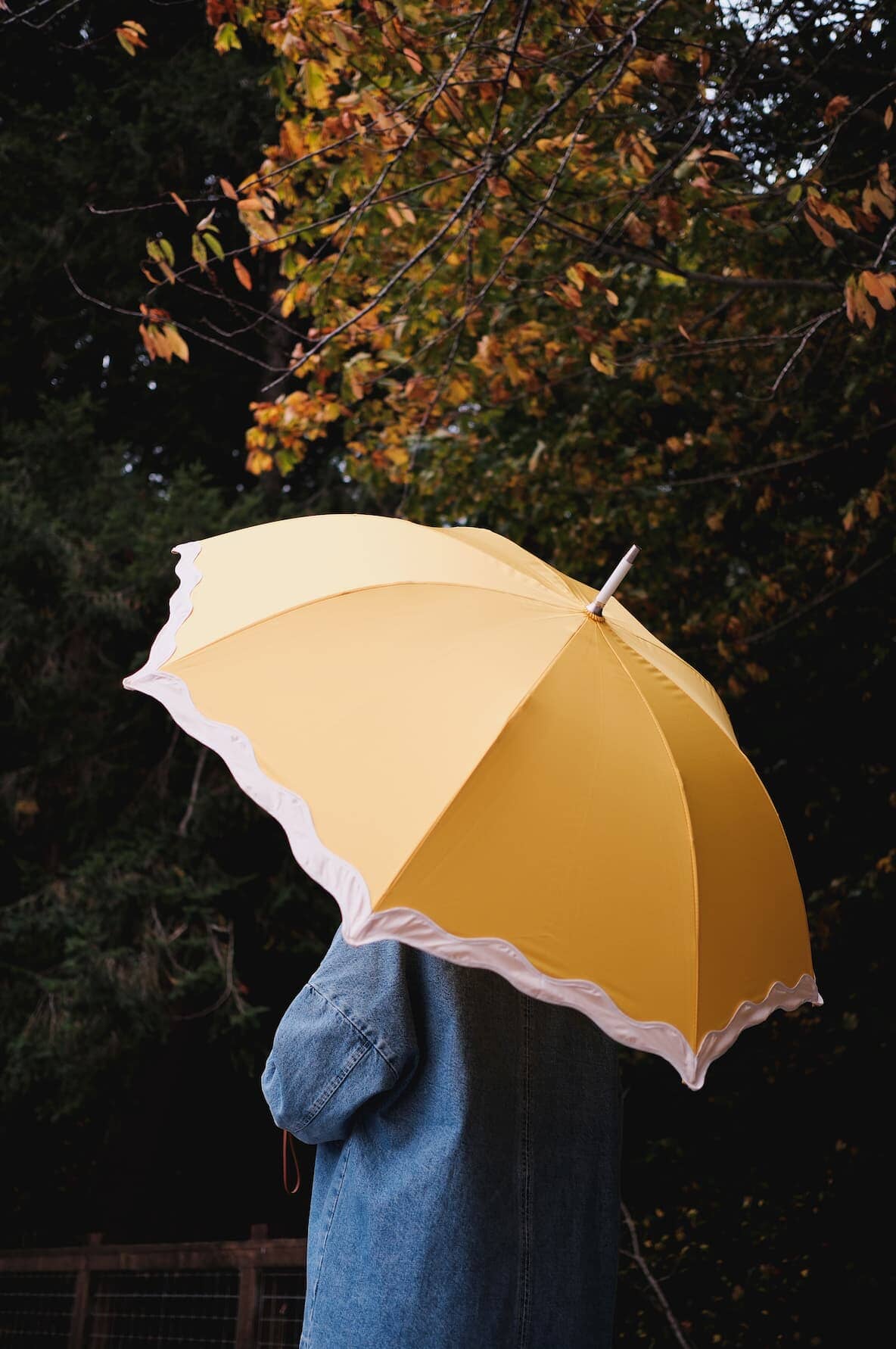 Rivie mimosa rain umbrella in the woods
