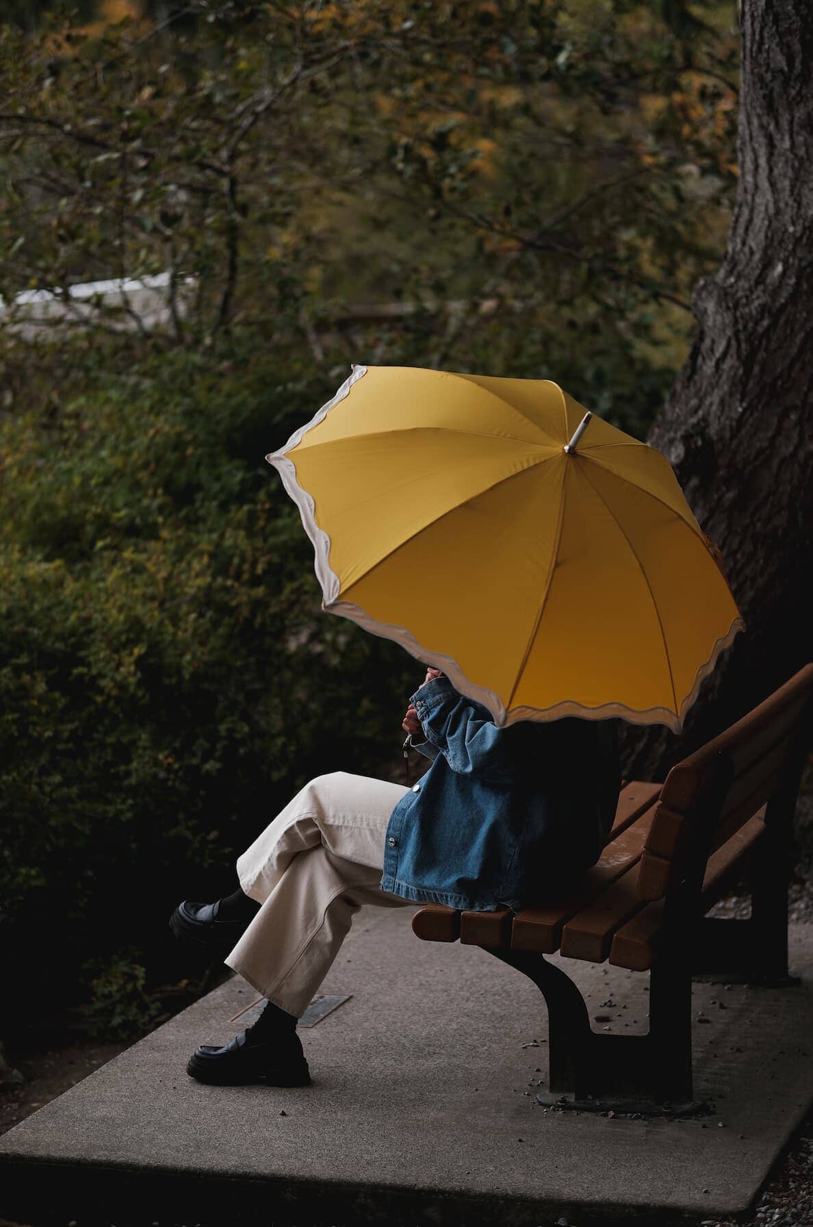 Rivie mimosa rain umbrella in the woods