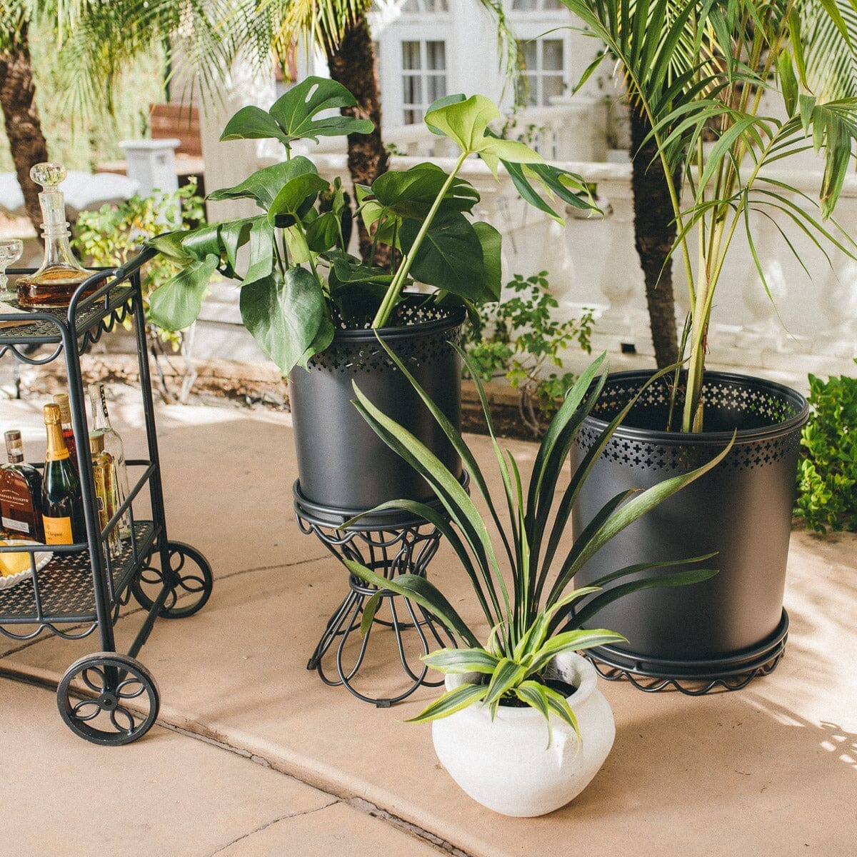 The Al Fresco Large Planter - Vintage Black Al Fresco Planter Business & Pleasure Co Aus 