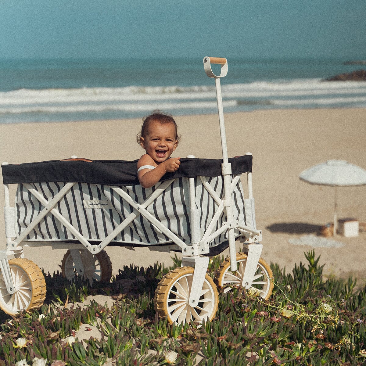 The Beach Cart - Monaco Black Stripe Beach Cart Business & Pleasure Co Aus 