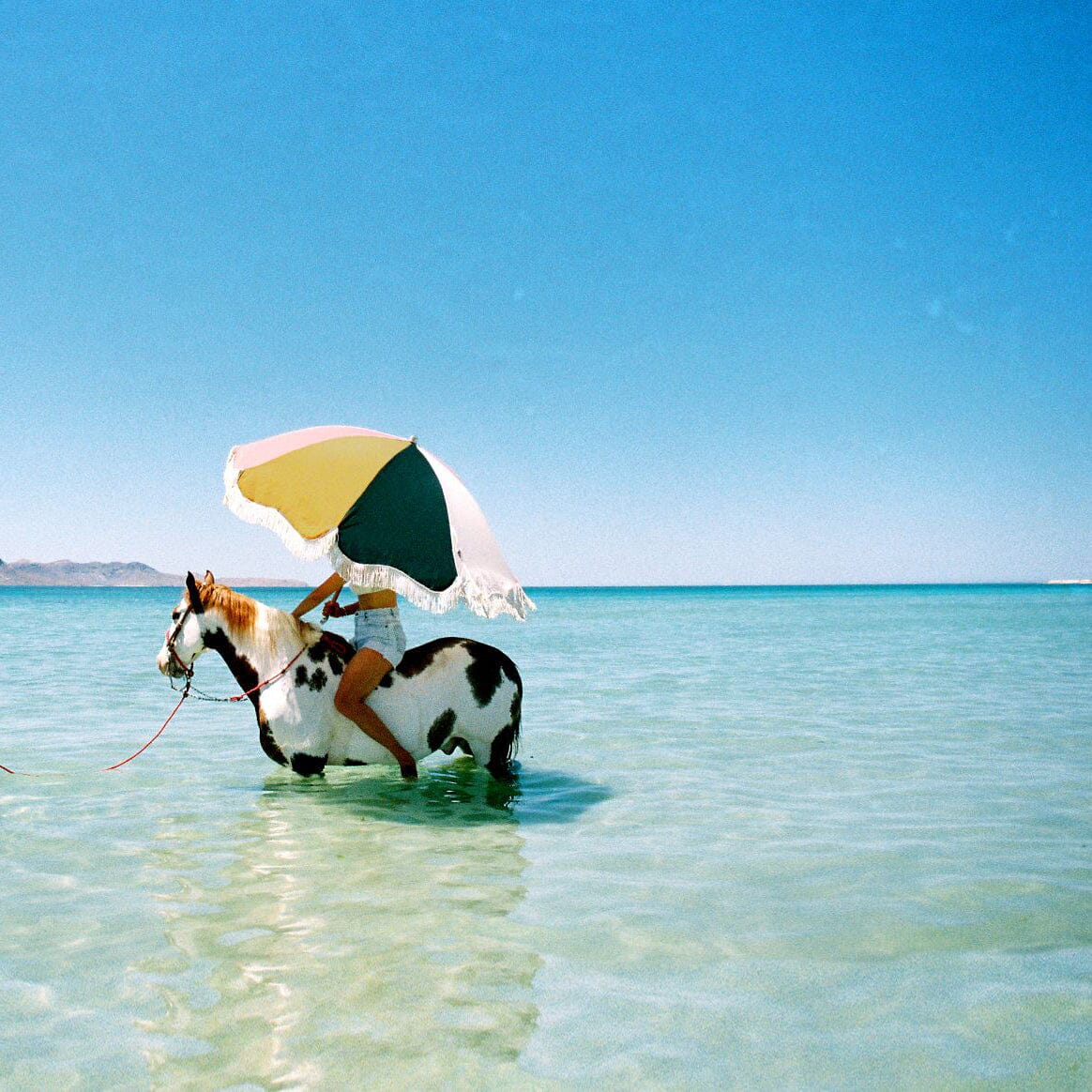 The Premium Beach Umbrella - 70's Cinque Premium Umbrella Business & Pleasure Co. 