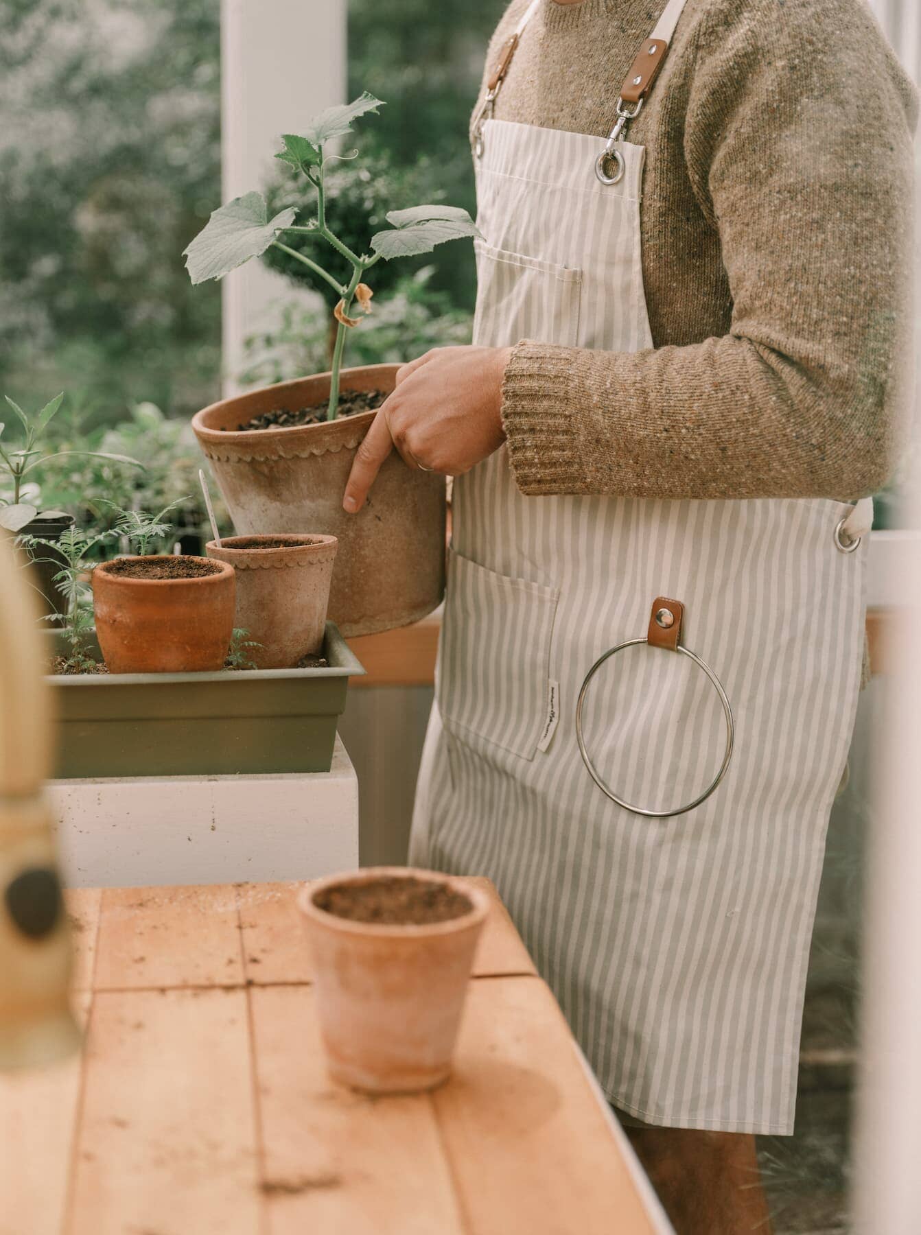 Gardener in potting shed wearing sage apron