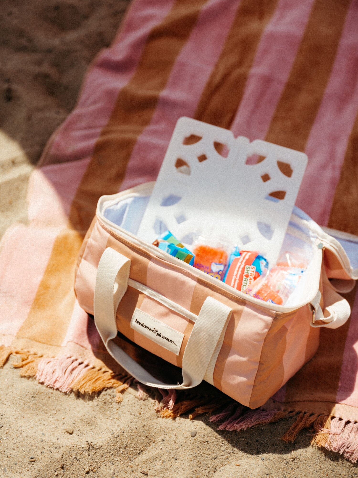 ice pack in a cooler with snacks at the beach