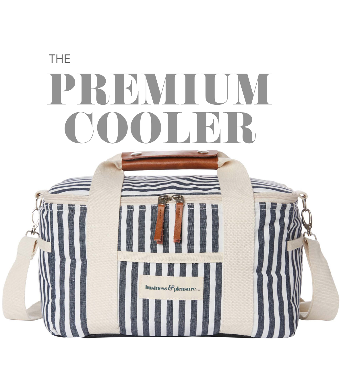 Video of premium cooler bag